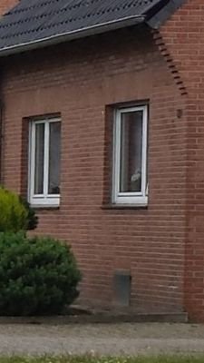 Musterbild