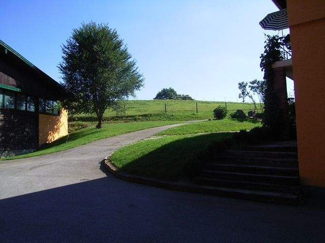 Immobilie in Witzmannsberg - Gepflegtes Reiteranwesen m. Pension/Wohnhaus u. 18.700 qm, idyllischer ruhiger Lage im oberen Ilztal - Bild 12