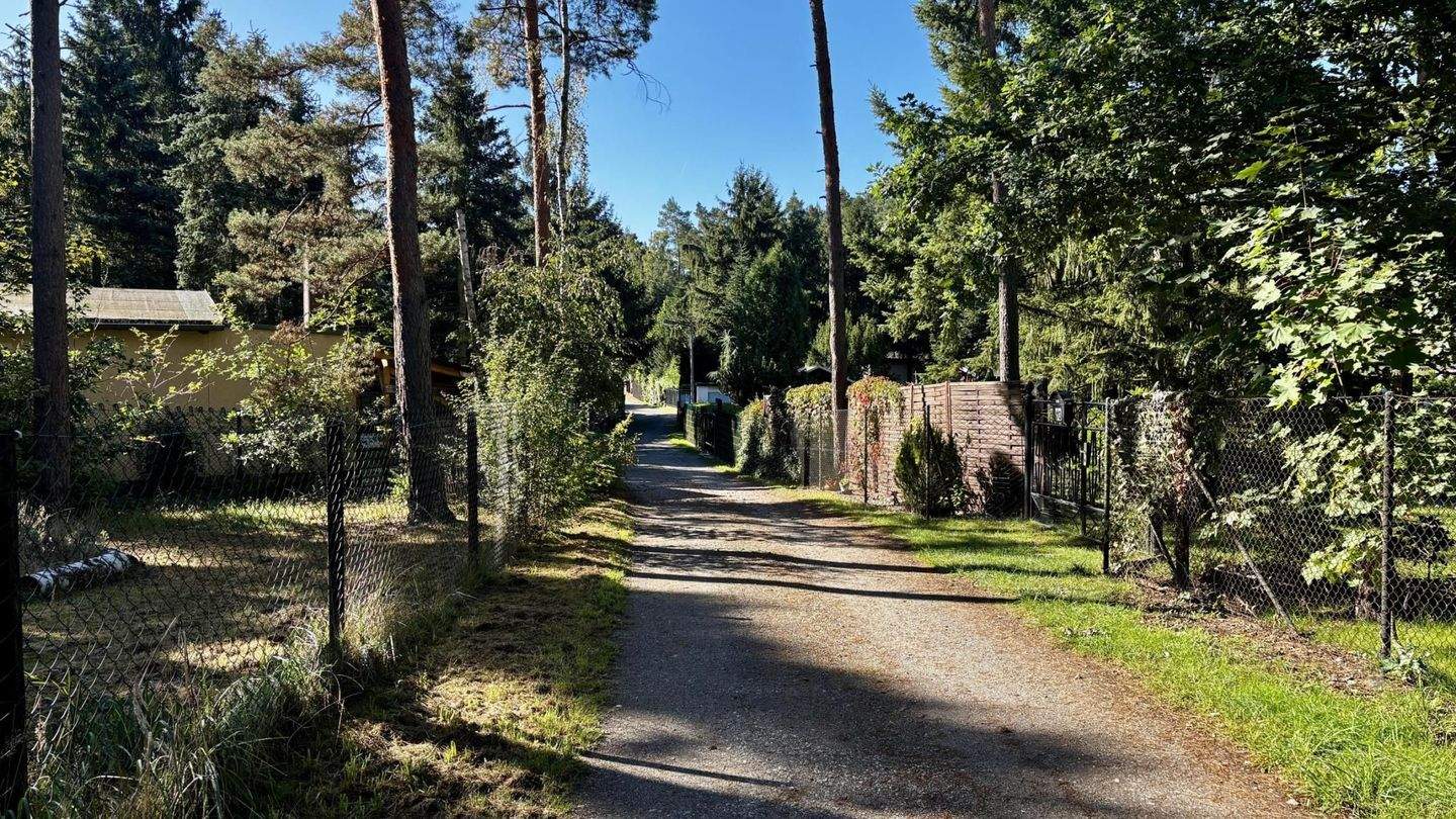 Immobilie in Zschepplin - Gestalten Sie Ihr Refugium im Grünen! - Bild 20