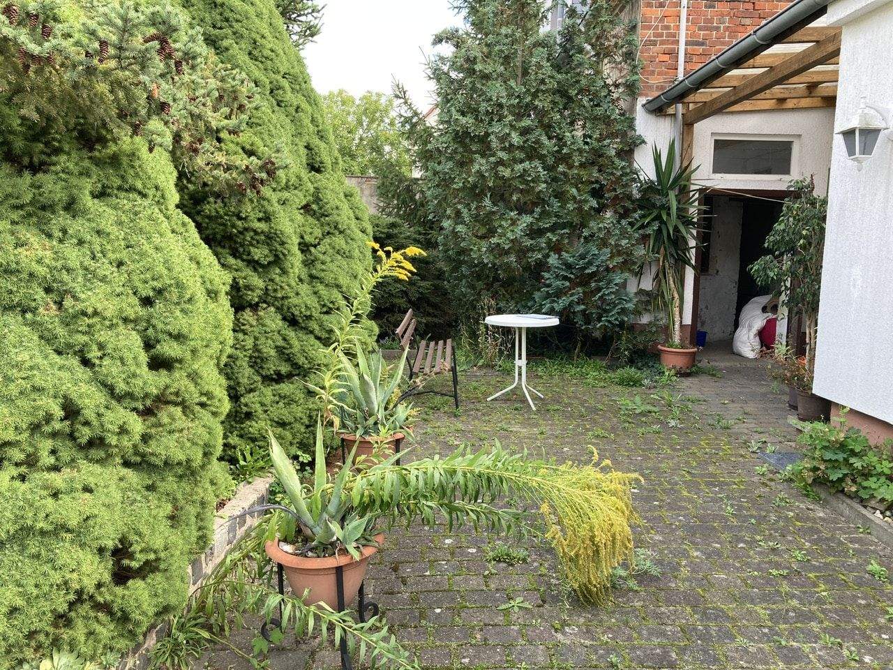 Immobilie in Biederitz - Wohlfühlhaus mit Charakter - Bild 7