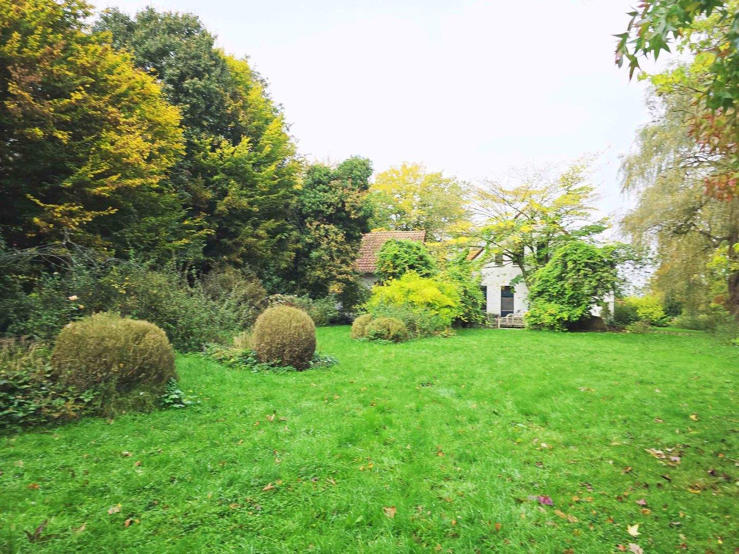 Immobilie in Bersenbrück - Geschichte & Natur - Erholung pur! - Bild 4