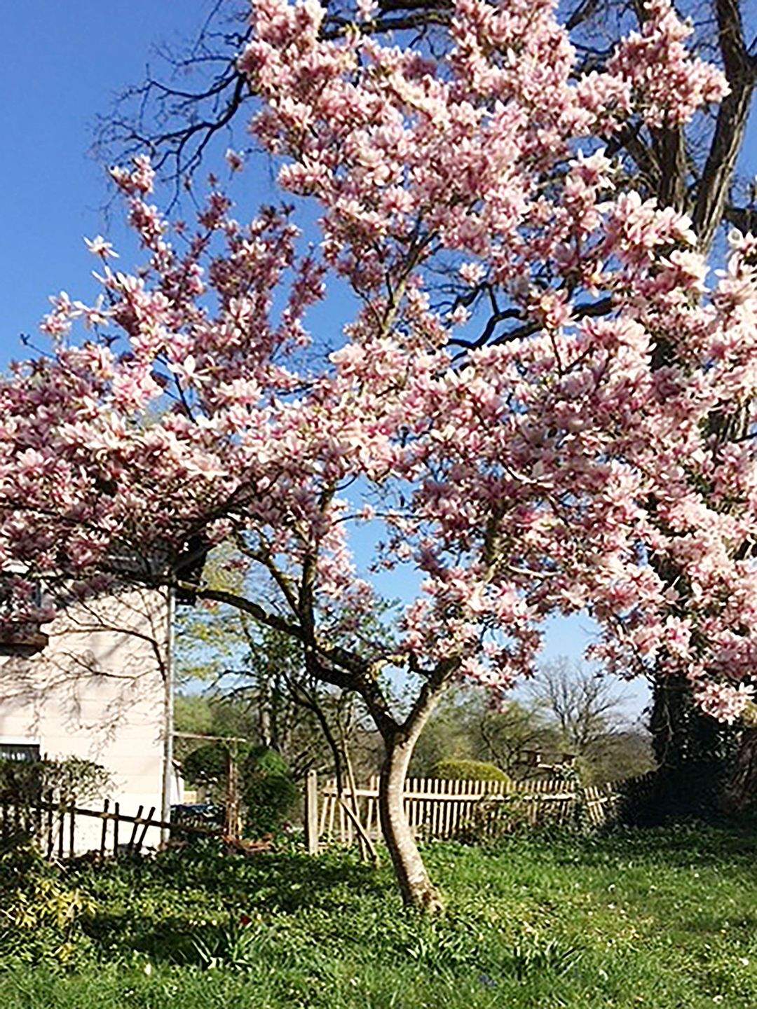 Immobilie in Babensham - Ehemaliges Forsthaus - Bild 10