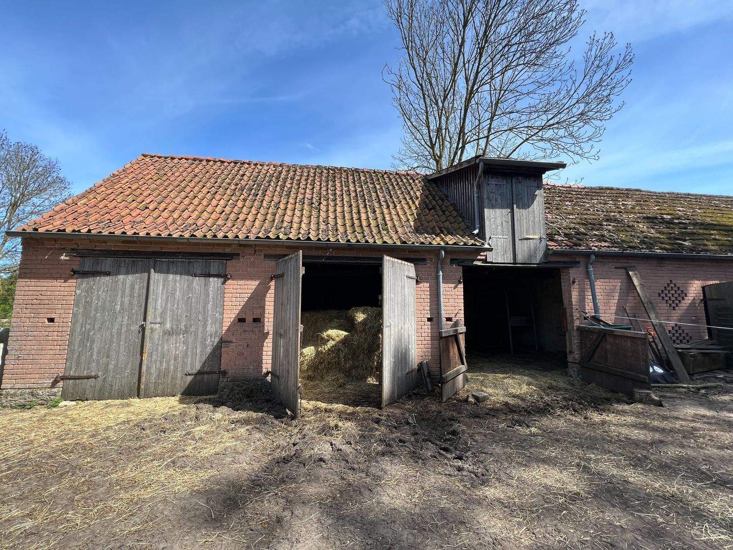 Immobilie in Trebel - "Landleben deluxe im Wendland"- Historische Hofstelle an der Nemitzer Heide" - Bild 35