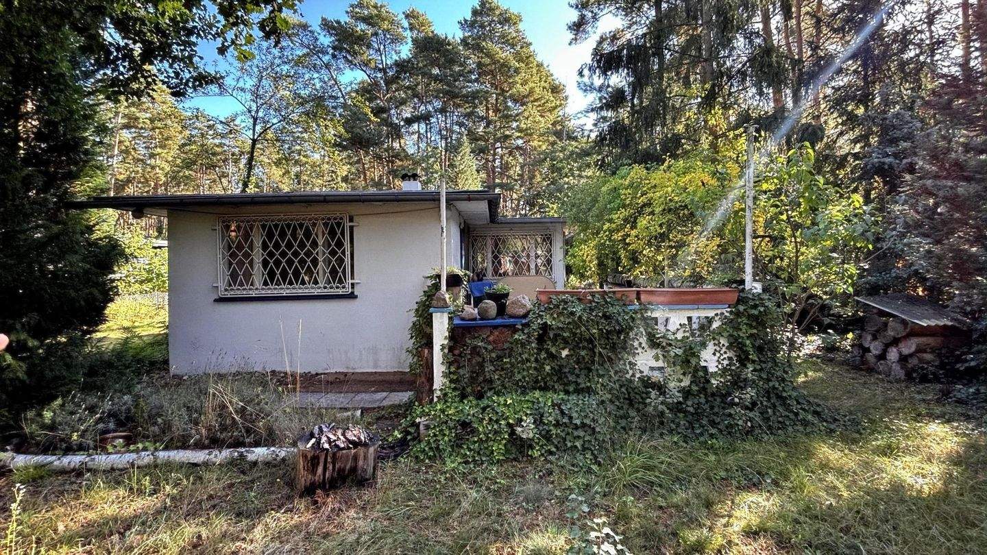 Immobilie in Zschepplin - Gestalten Sie Ihr Refugium im Grünen! - Bild 4