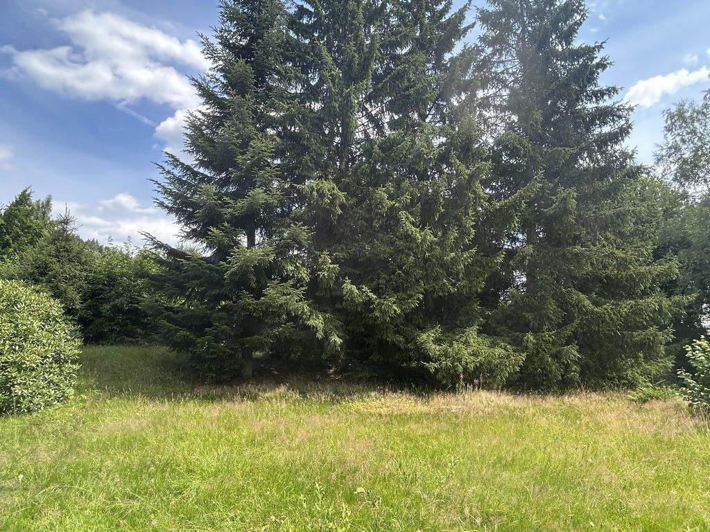 Immobilie in Immenreuth - Gepflegtes 1-Zi-Appartment einer Ferienanlage mit EBK, Lounge & Stellplatz - ruhig in Natur & Wald - Bild 11