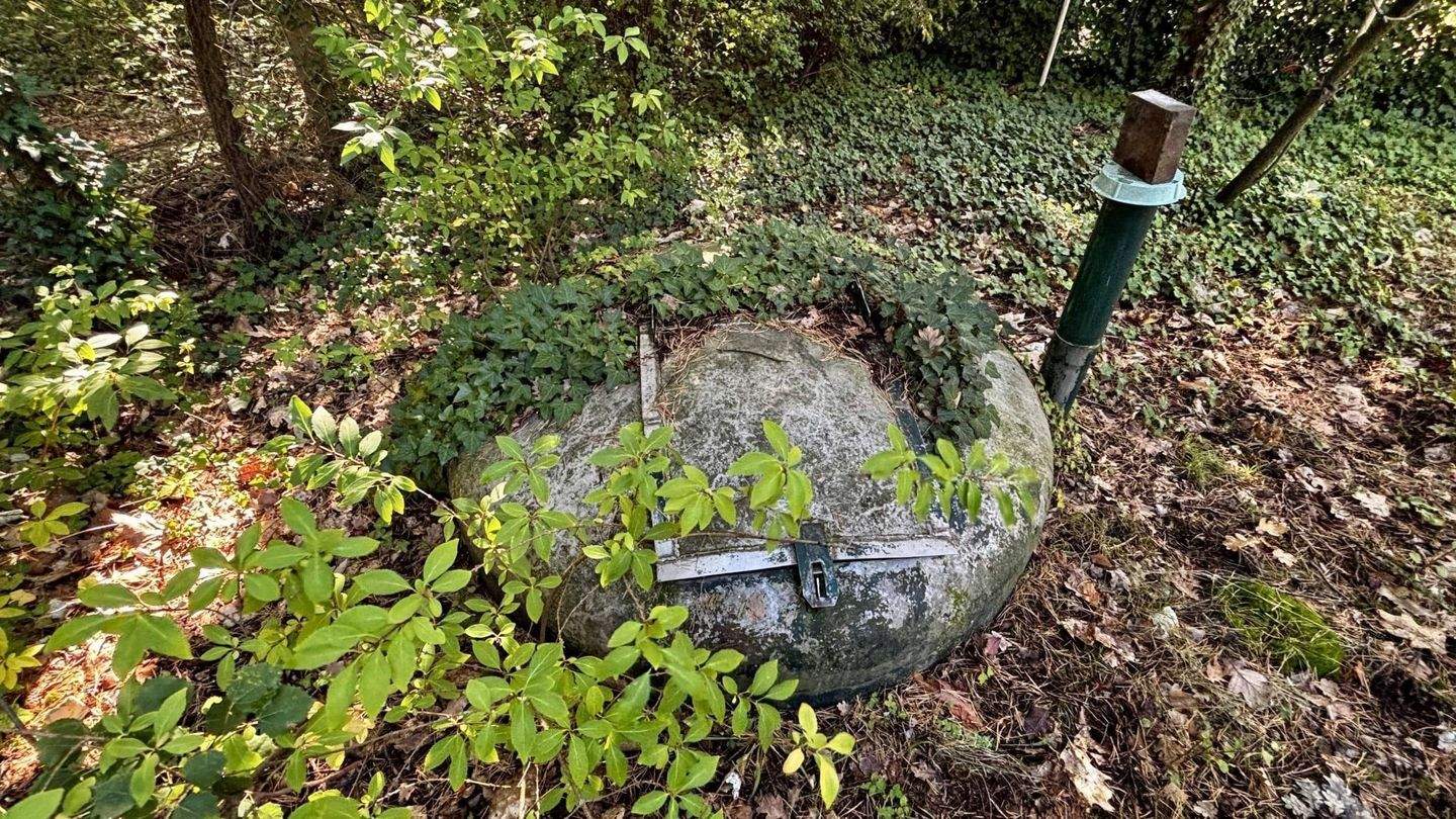 Immobilie in Zschepplin - Gestalten Sie Ihr Refugium im Grünen! - Bild 16