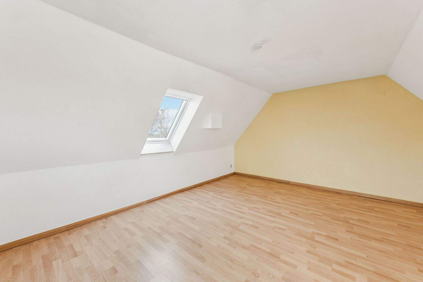 Immobilie in Kröpelin - 3-Raum-Maisonette Dachgeschoss mit eigenem Garten im Gutshaus Jennewitz / Nähe Kühlungsborn - Bild 8