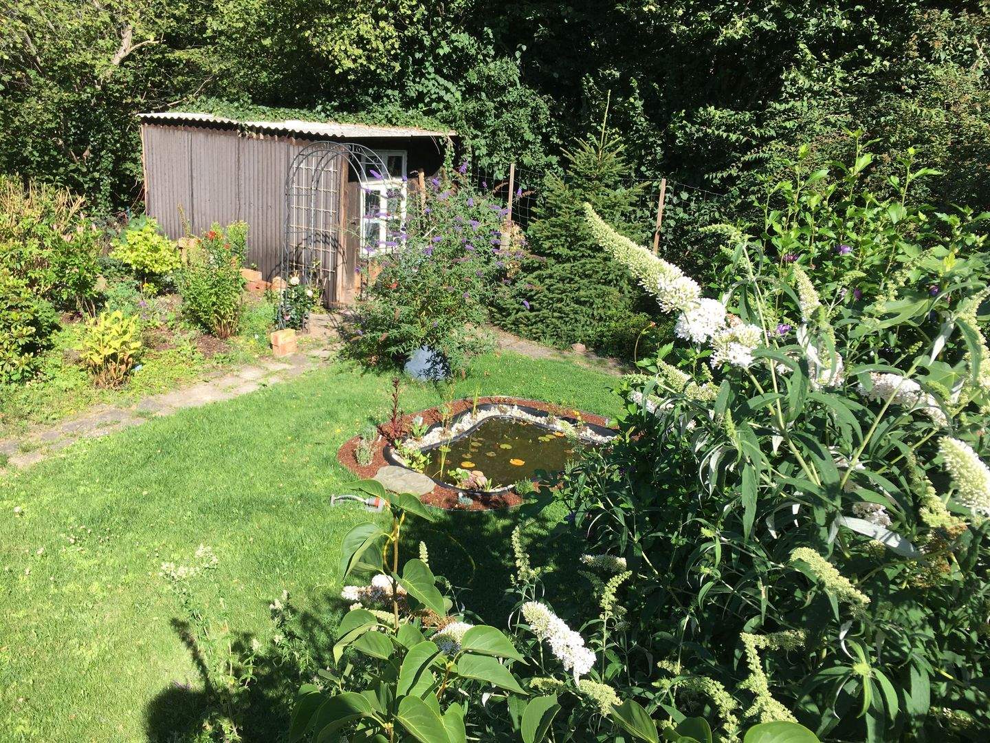 Immobilie in Hitzacker - Aufwendig modernisierte Immobilie, als Zinshaus oder zur Eigennutzung - Bild 6