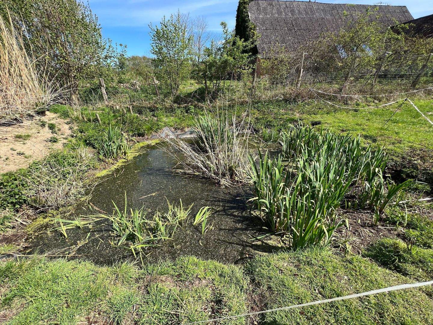 Immobilie in Trebel - "Landleben deluxe im Wendland"- Historische Hofstelle an der Nemitzer Heide" - Bild 39
