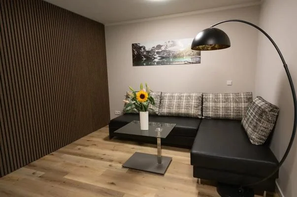 Voll möblierte 1-Zimmer-Wohnung mit Balkon- Plauen | Wohnung Dresden