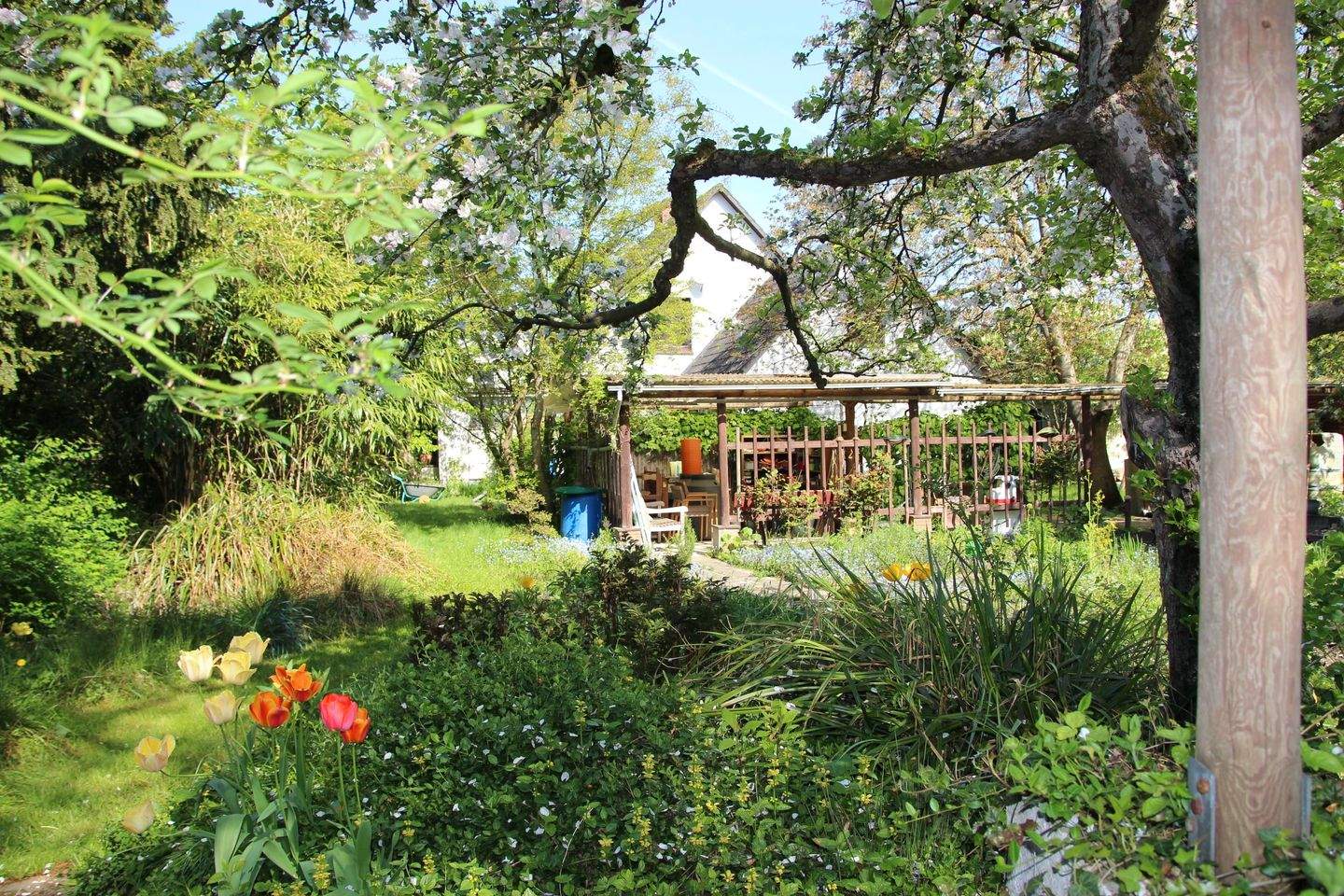 Immobilie in Tostedt - Grosses Einfamilienhaus mit Garage und riesigem Garten in guter Lage von Tostedt - Bild 22