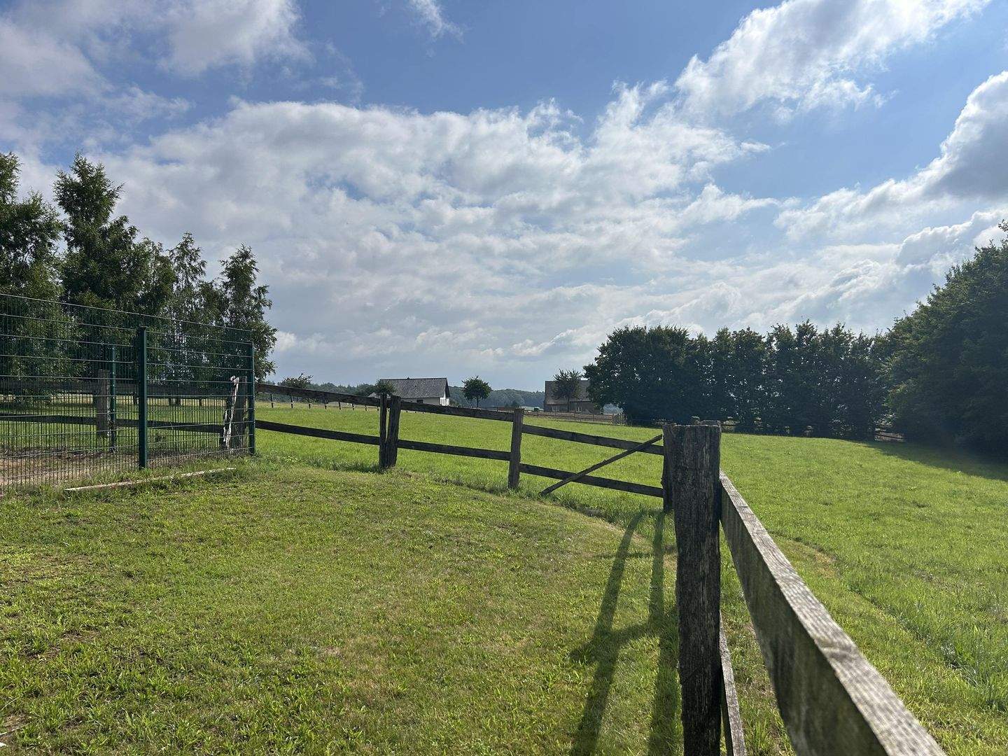 Immobilie in Preußisch Oldendorf - Schönes Landhaus! Großzügiges Anwesen für Tier- und Pferdehaltung! - Bild 2