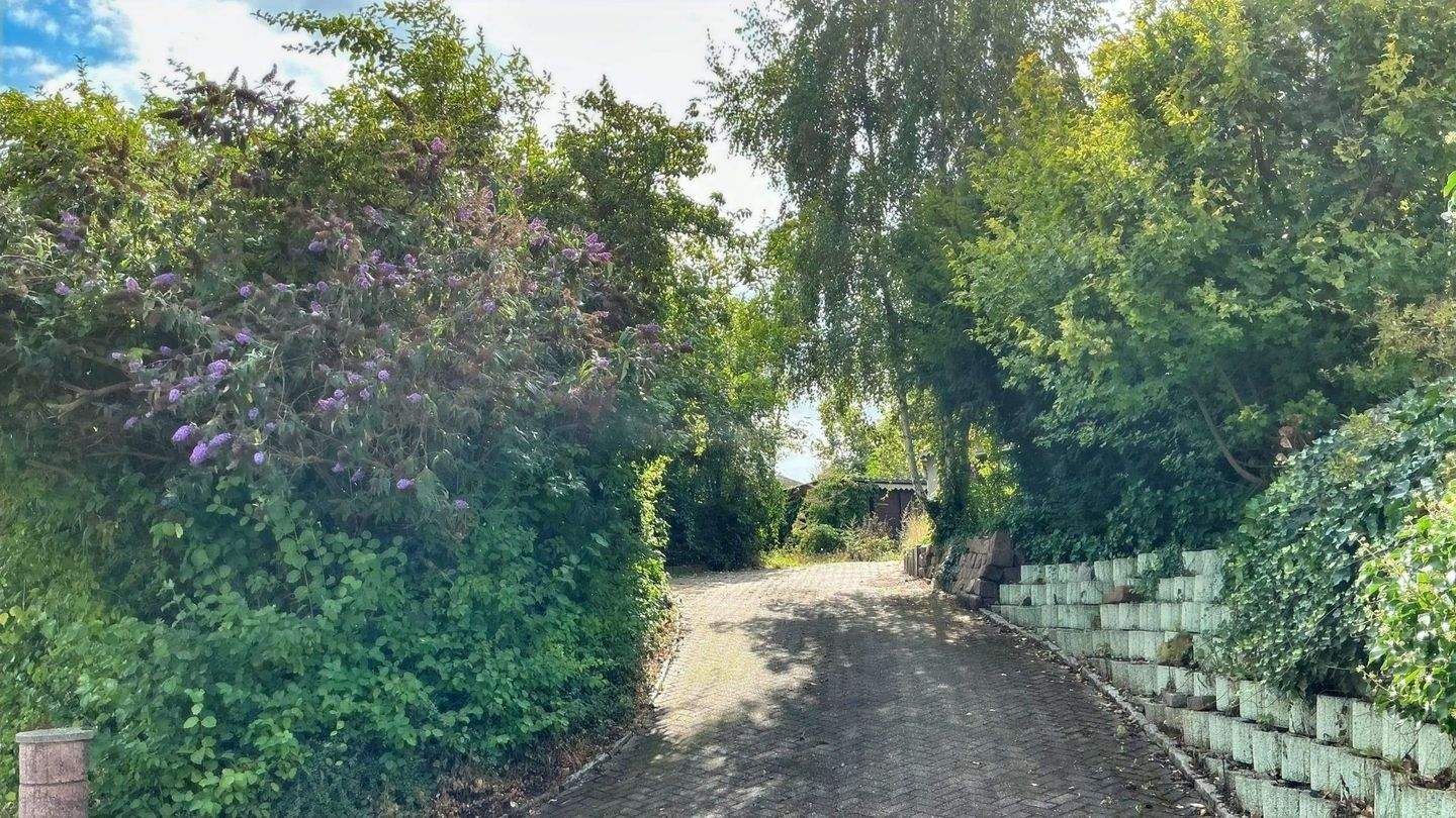 Immobilie in Mücheln (Geiseltal) - Einfamilienhaus mit Seeblick - Bild 7