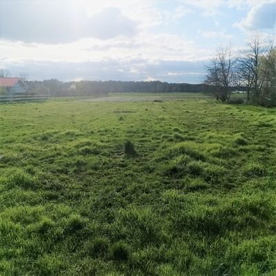 Grundstück - Ansicht_04