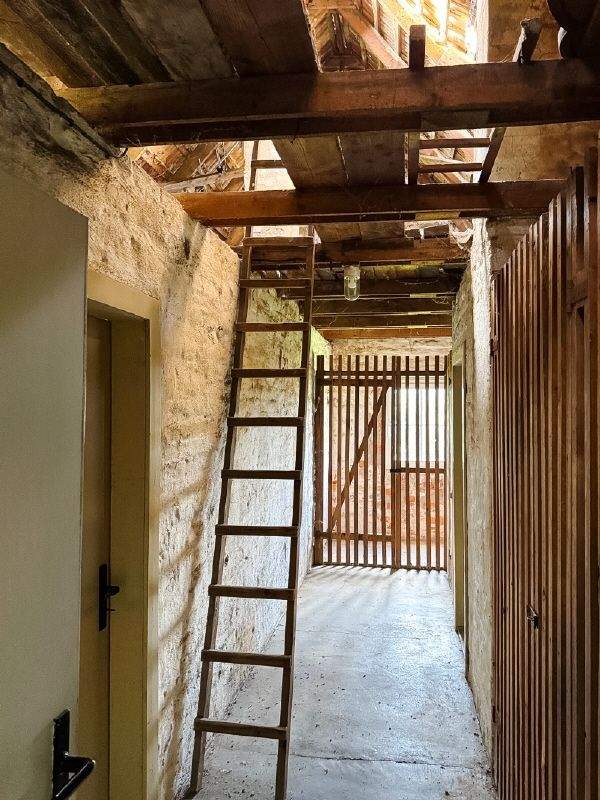 Immobilie in Leutersdorf - Für Sie und ... Ihre Tiere? - Bild 8