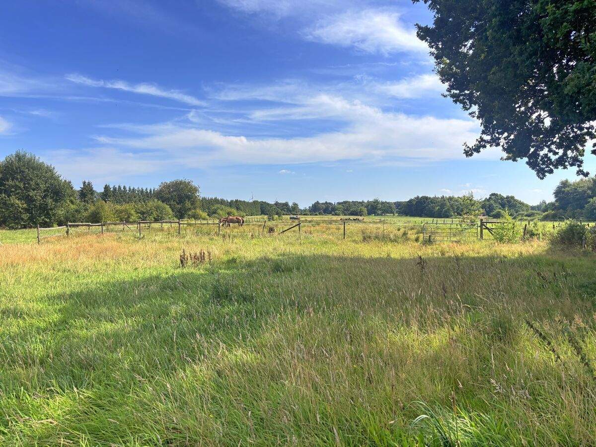 Immobilie in Wiesmoor - Teilsaniertes Landhaus mit Einliegerwohnung, Nebengebäude und über 4 ha Weideland in Wiesmoor - Bild 37