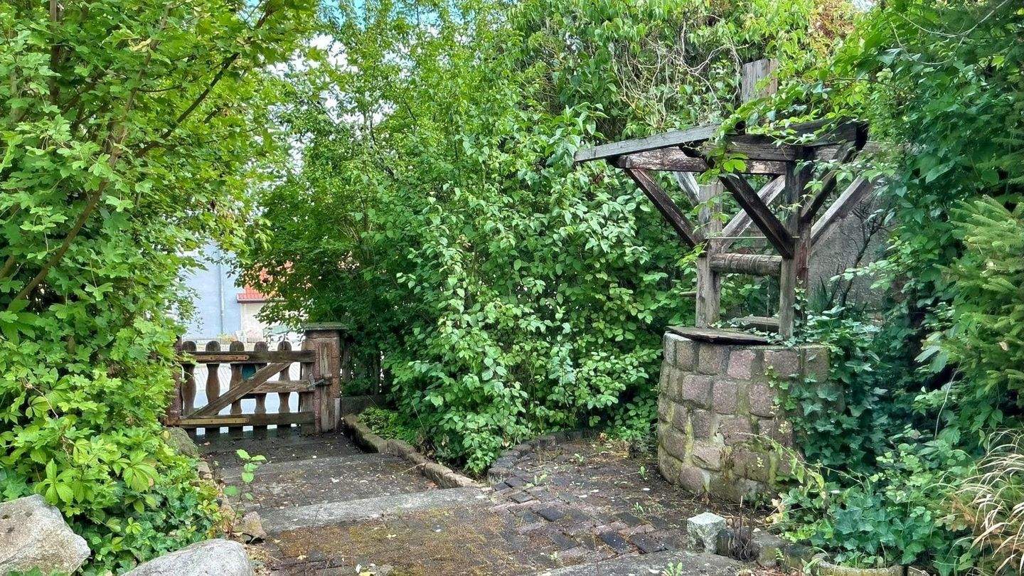 Immobilie in Mücheln (Geiseltal) - Einfamilienhaus mit Seeblick - Bild 5