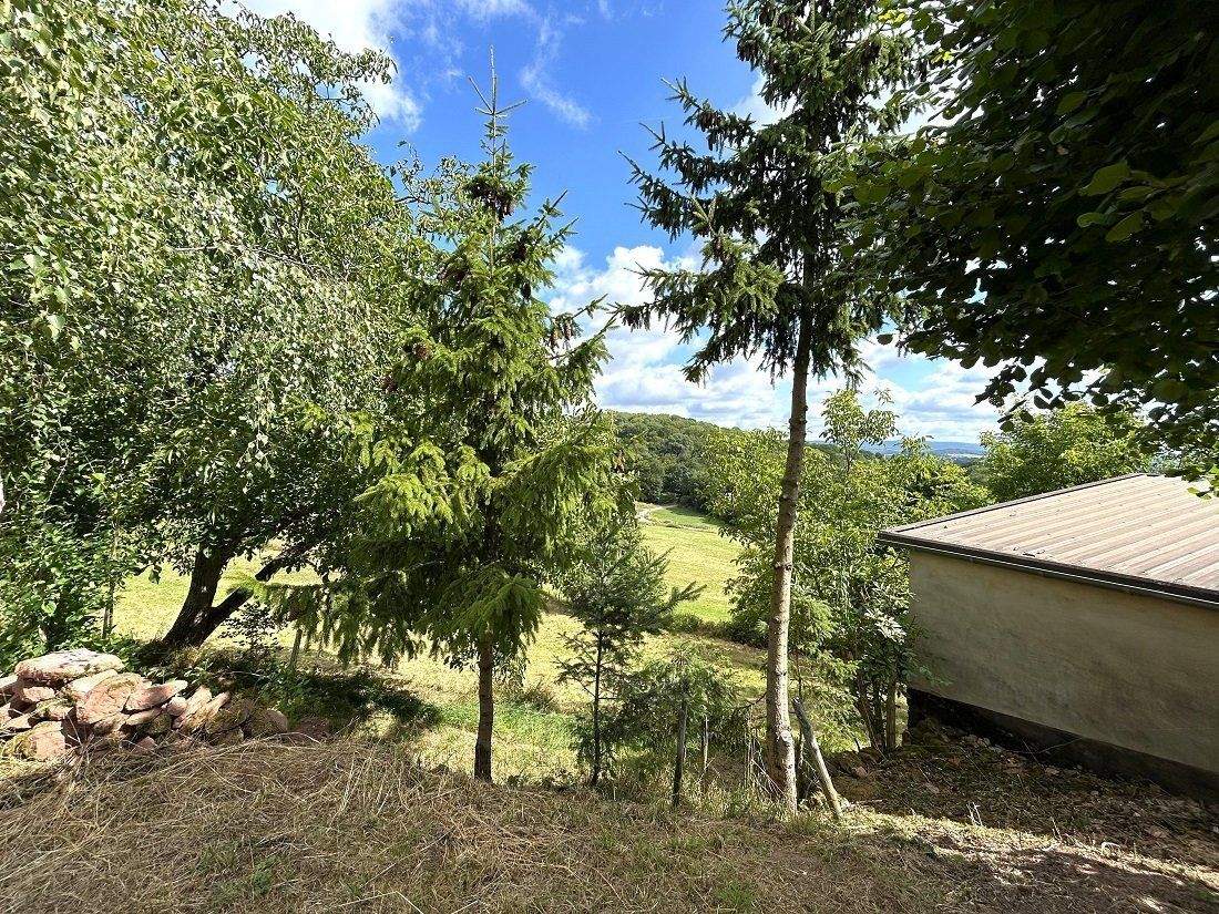 Immobilie in Altrich - zwei Wohnhäuser und rd. 20.000 qm Land direkt am Haus (Nähe zur Stadt Wittlich 5 km) - Bild 32