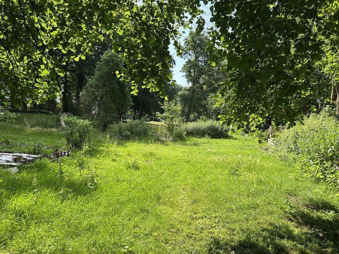Immobilie in Harpstedt - Arbeiten und Wohnen unter einem Dach.    Geschäfts- und Wohnhaus in Toplage in Harpstedt zu verkaufen. - Bild 20