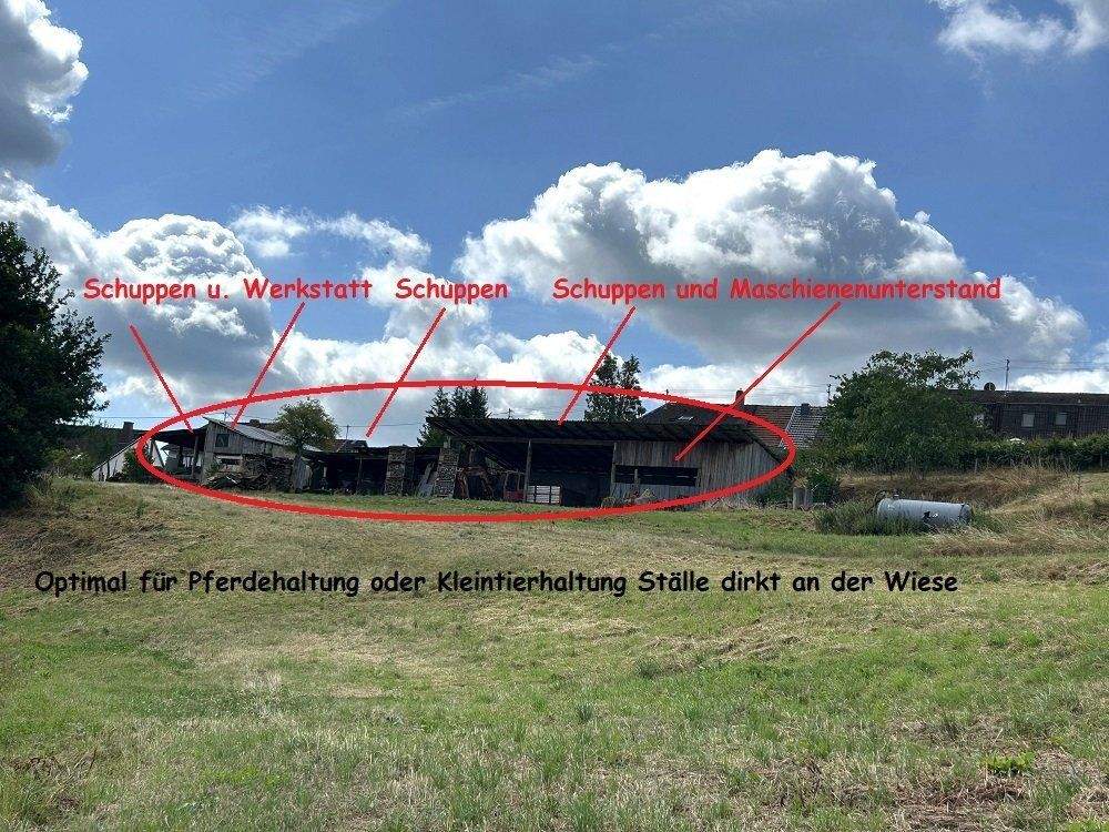 Immobilie in Altrich - zwei Wohnhäuser und rd. 20.000 qm Land direkt am Haus (Nähe zur Stadt Wittlich 5 km) - Bild 26