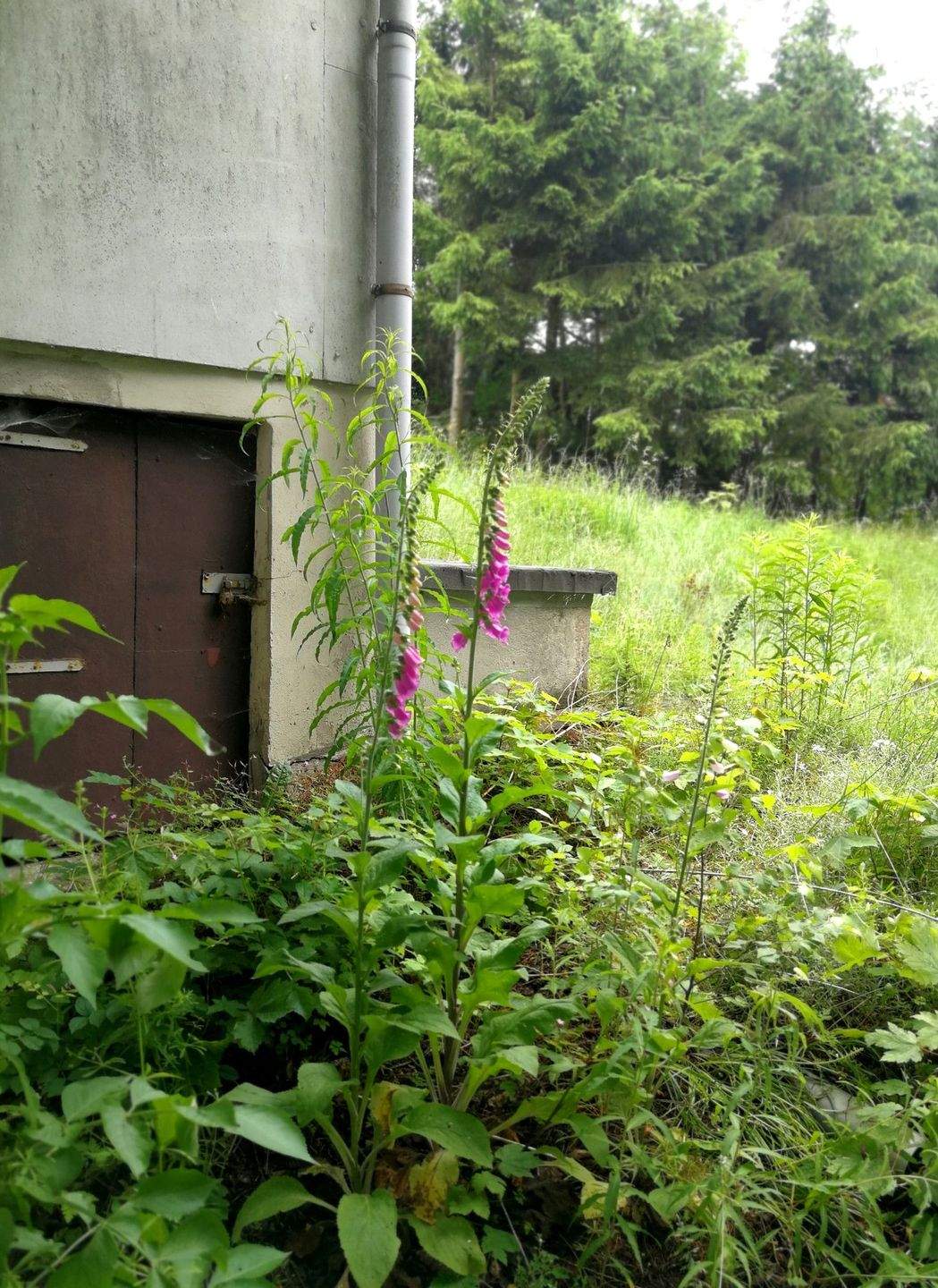 Immobilie in Suhl - Wohnen inmitten der Ski- und Wanderregion Suhl-Goldauter - Ihre Bauideen sind realisierbar - Bild 14