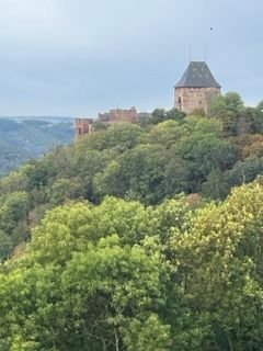 Blick auf Burg Nideggen
