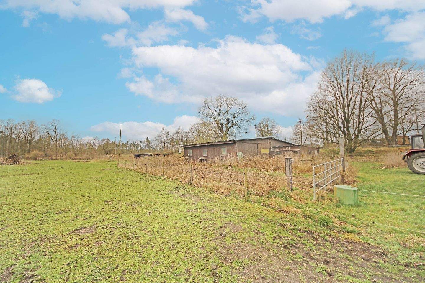 Immobilie in Jessen (Elster) - Mehrfamilienhaus mit 3 Wohnungen und großem Werkstattgebäude in Jessen (Elster) OT Holzdorf - Bild 17