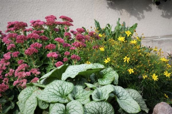 Blumen über Blumen