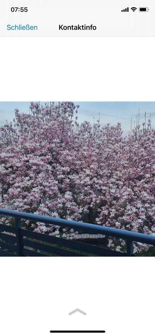 Immobilie in Herbolzheim - Provisionsfrei, 1-2 Familienhaus mit Weitblick und großem Garten - Bild 18