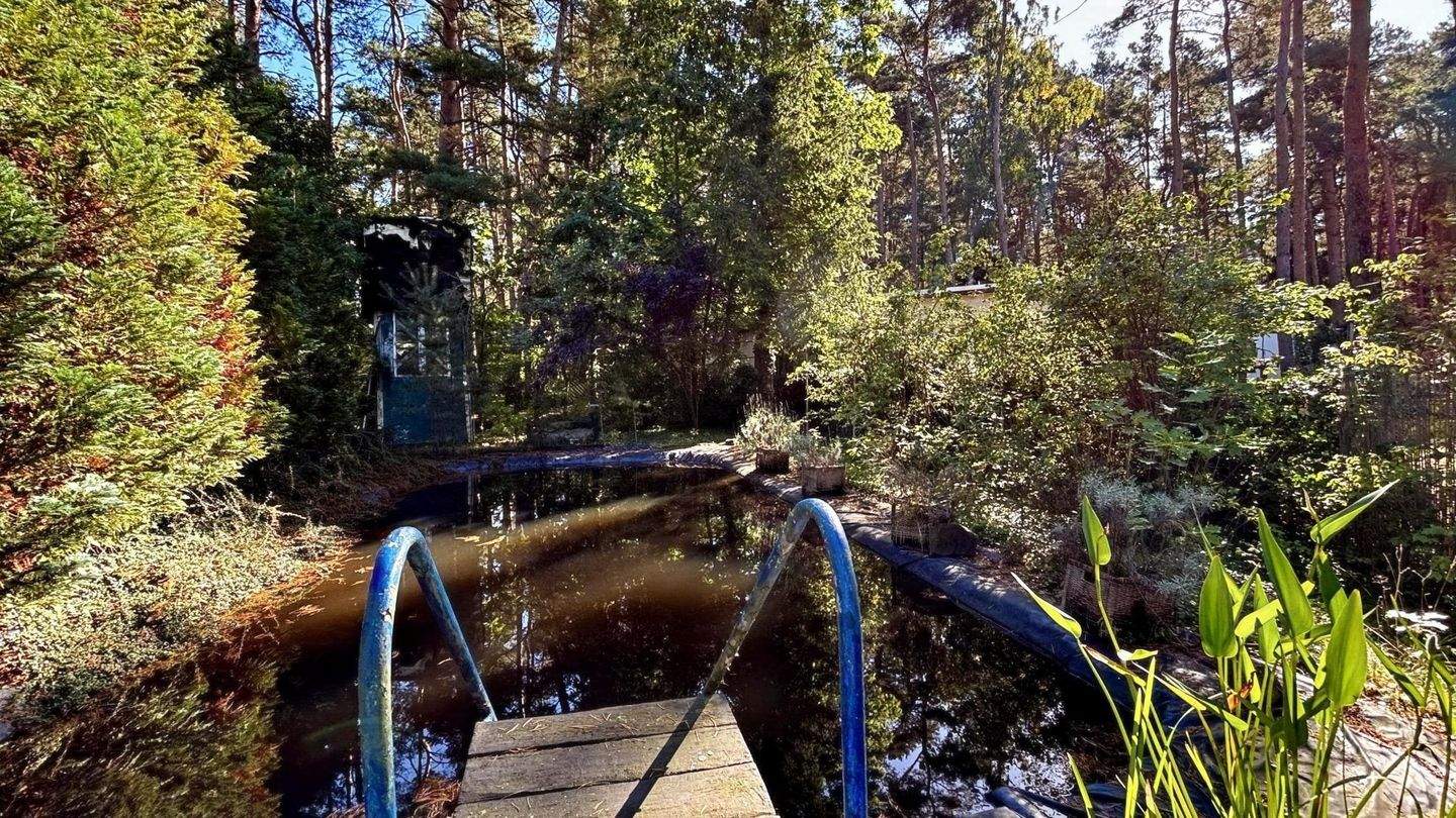 Immobilie in Zschepplin - Gestalten Sie Ihr Refugium im Grünen! - Bild 14