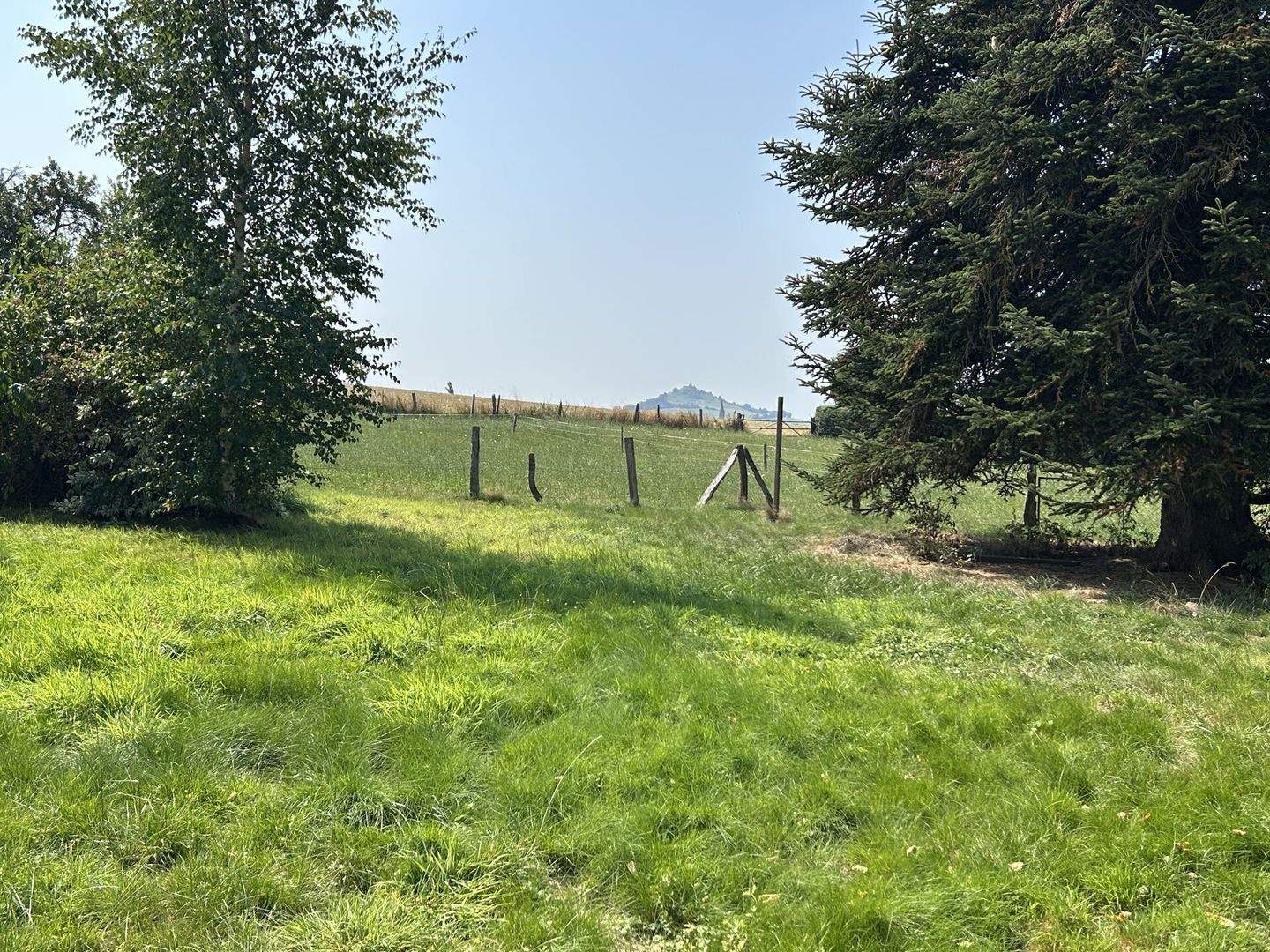 Immobilie in Borgentreich - Vielseitiges Wohnhaus mit großzügigem Anwesen am Rande von Rösebeck - Bild 13