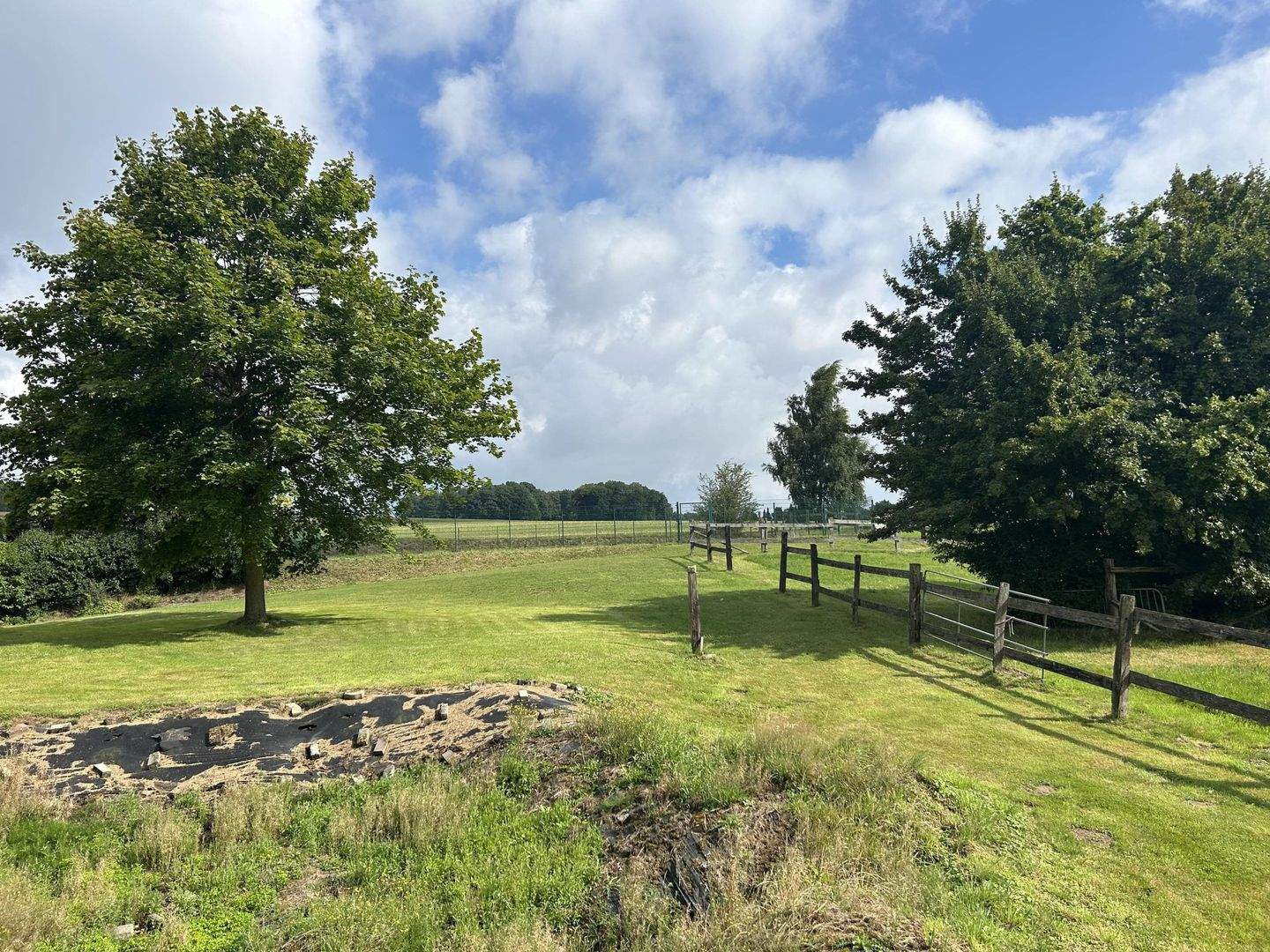Immobilie in Preußisch Oldendorf - Schönes Landhaus! Großzügiges Anwesen für Tier- und Pferdehaltung! - Bild 32