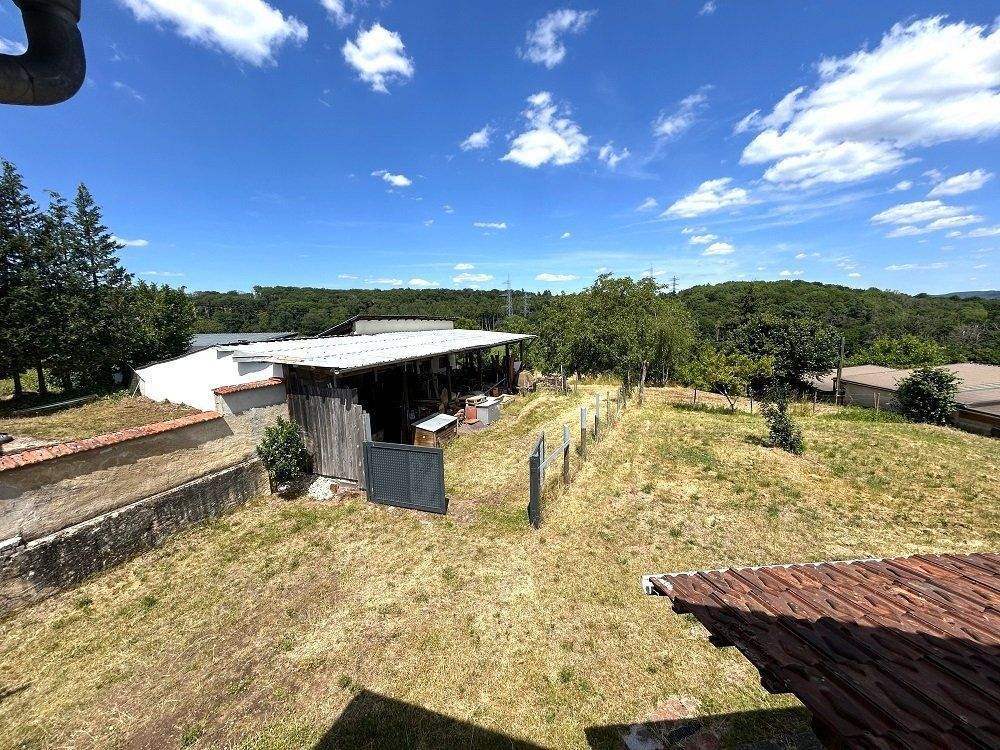 Immobilie in Altrich - zwei Wohnhäuser und rd. 20.000 qm Land direkt am Haus (Nähe zur Stadt Wittlich 5 km) - Bild 7