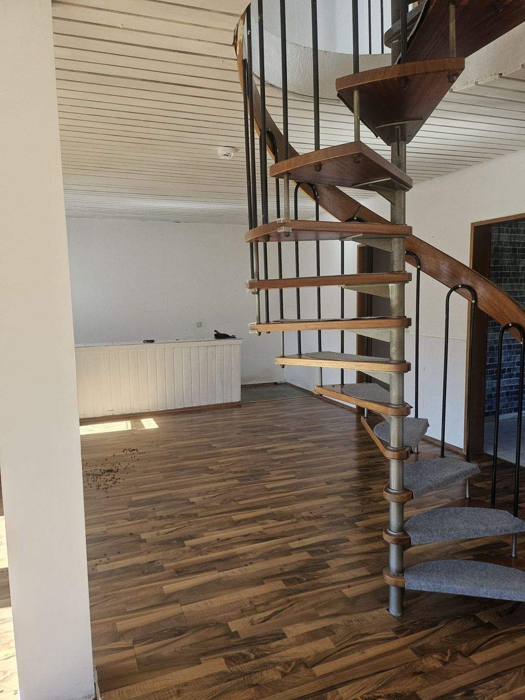 Immobilie in Eberstadt - 3 Familien Haus in Eberstadt Hölzern! Eine Wohnung sofort frei! - Bild 18