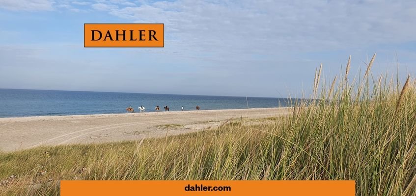 Immobilie in Traumlage in Dierhagen Strand