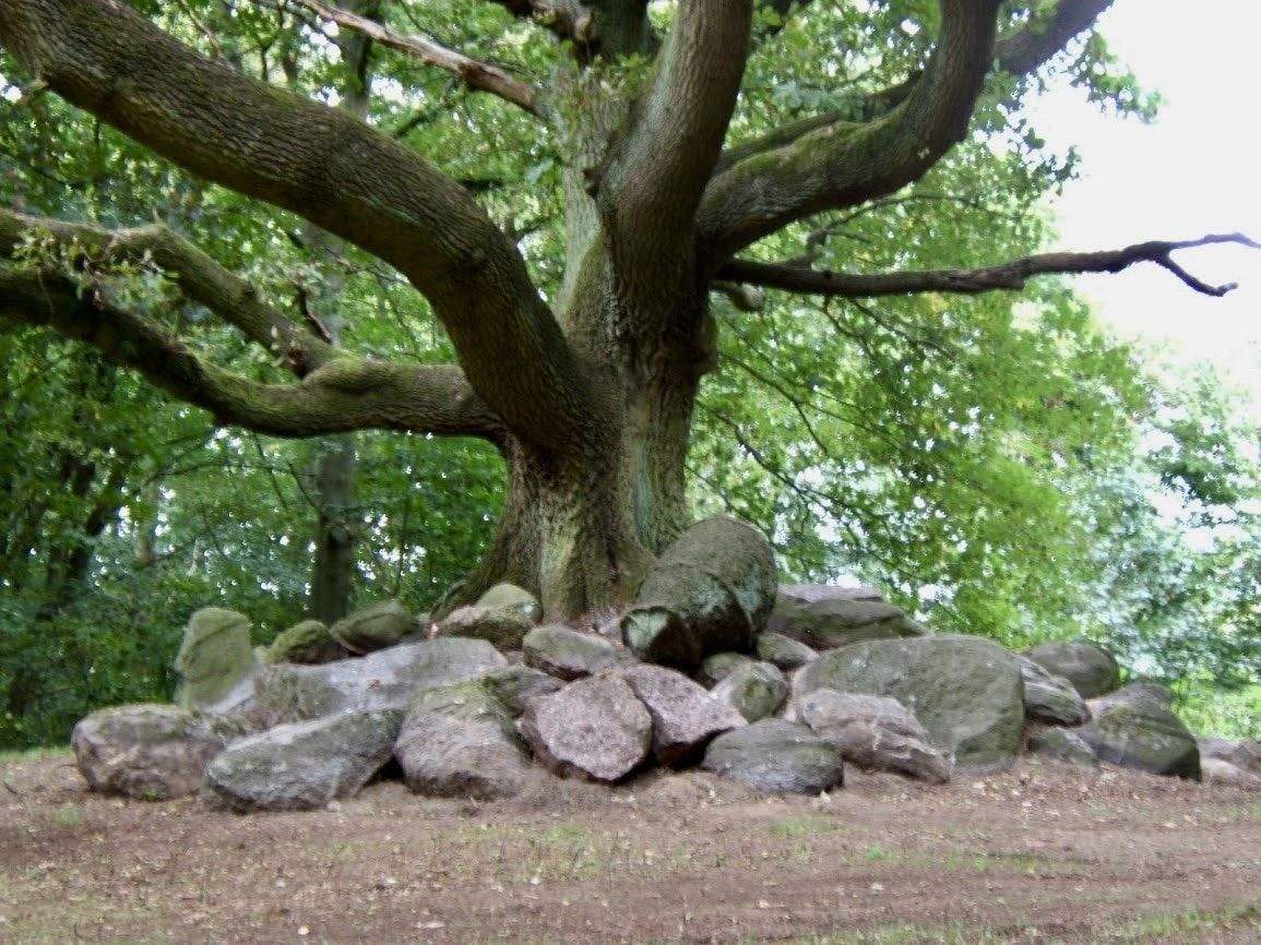 Immobilie in Bastorf - Schlossflair & Strandnähe vereint - stilvolles 2-Zi-Appartement nahe Kühlungsborn & Rerik! - Bild 32