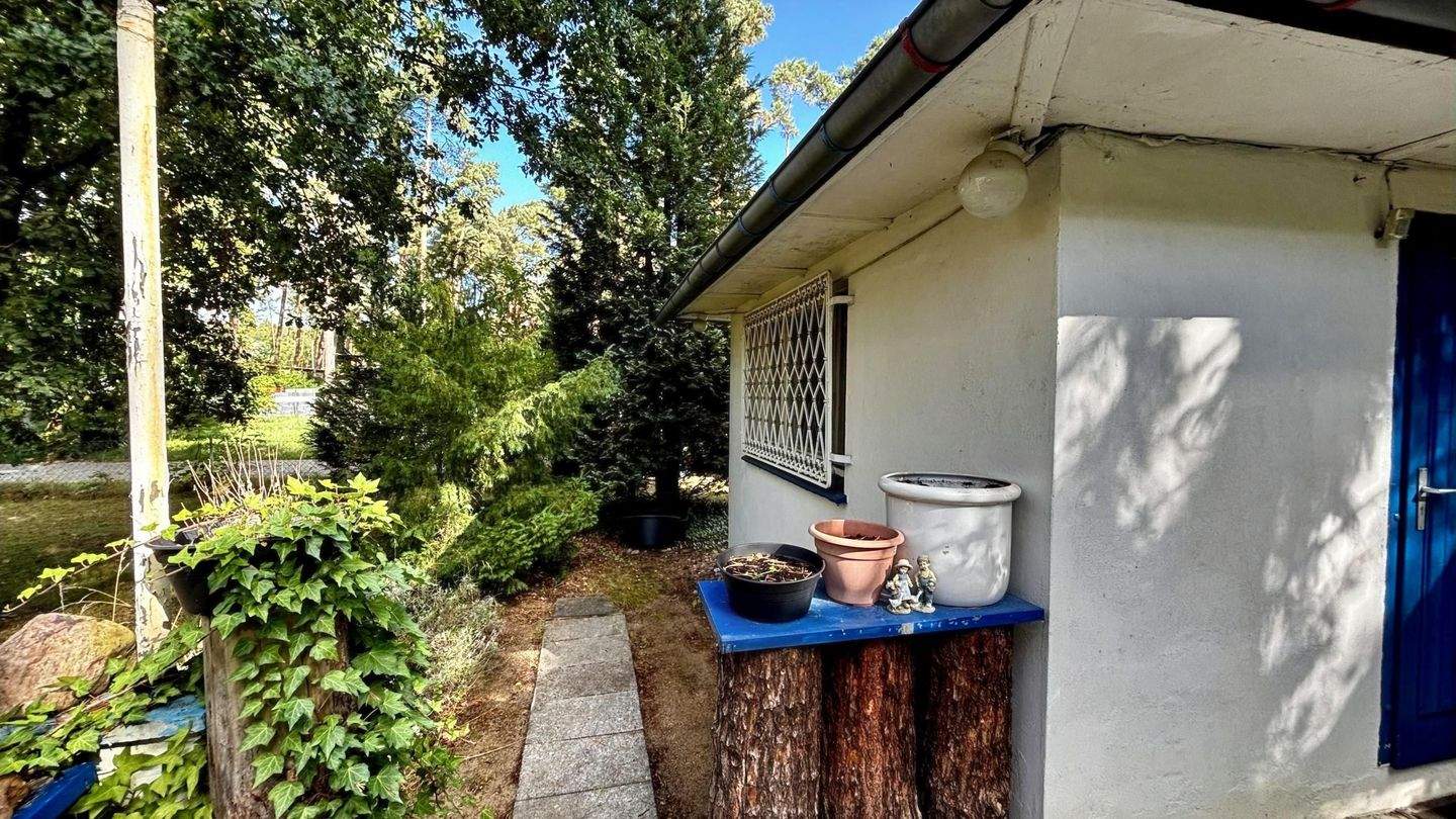 Immobilie in Zschepplin - Gestalten Sie Ihr Refugium im Grünen! - Bild 5