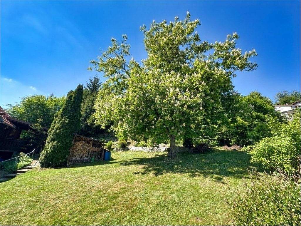 Immobilie in Saldenburg - Gepflegte Dachgeschosswohnung mit Charme – 2,5 Zimmer in Saldenburg/ Nähe Tittling! - Bild 9