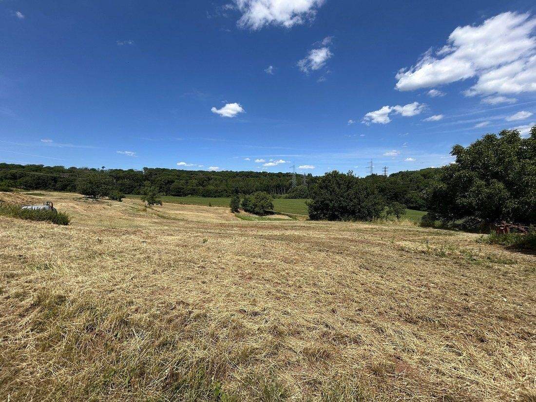 Immobilie in Altrich - zwei Wohnhäuser und rd. 20.000 qm Land direkt am Haus (Nähe zur Stadt Wittlich 5 km) - Bild 31