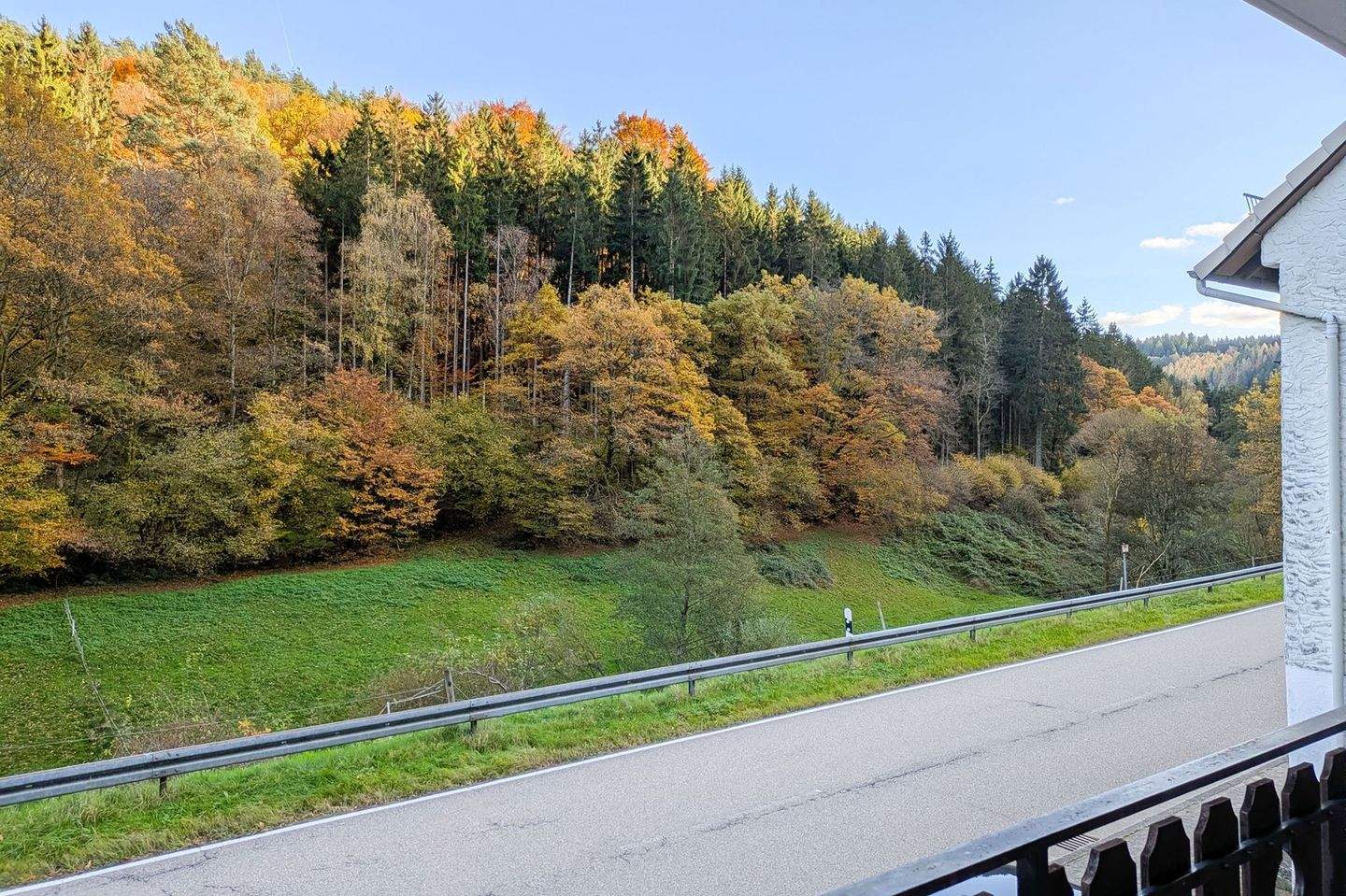 Immobilie in Oberzent - Interessante Immobilie mit großem Grundstück im ruhigen, von Natur umgebenen Sensbachtal! - Bild 4