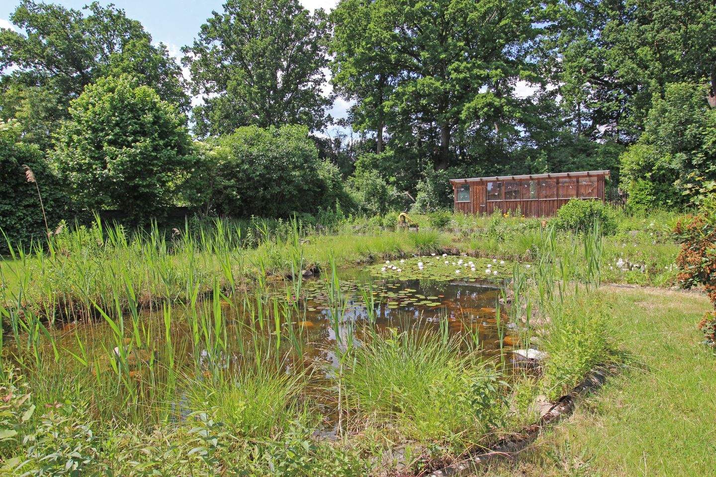 Immobilie in Bergen an der Dumme - Großzügiges Einfamilienhaus mit Nebengebäuden zu verkaufen! - Bild 14