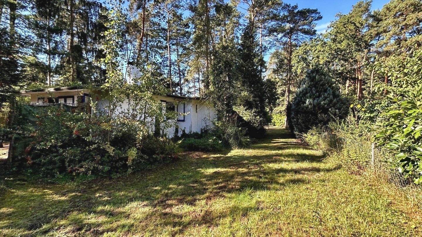 Immobilie in Zschepplin - Gestalten Sie Ihr Refugium im Grünen! - Bild 13