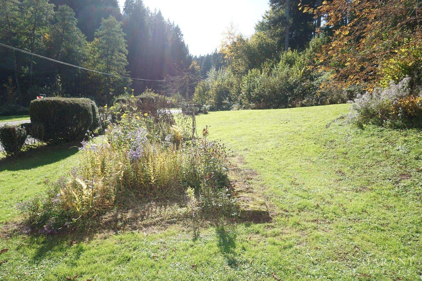 Immobilie in Loßburg - Charmante Erdgeschoss-Wohnung in idyllischer Alleinlage mit Terrasse und Gartenanteil - Bild 7