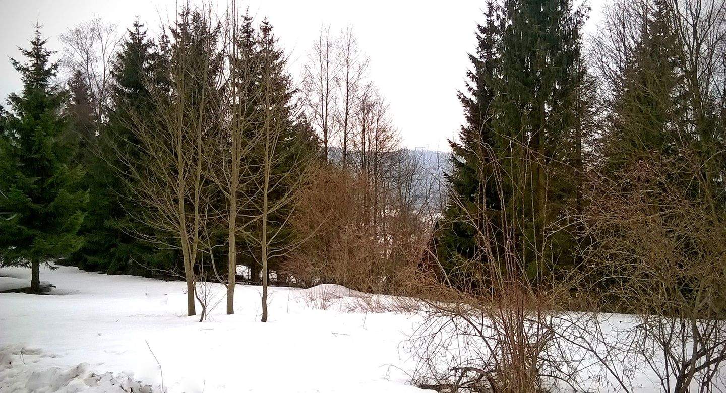 Immobilie in Suhl - Wohnen inmitten der Ski- und Wanderregion Suhl-Goldauter - Ihre Bauideen sind realisierbar - Bild 18