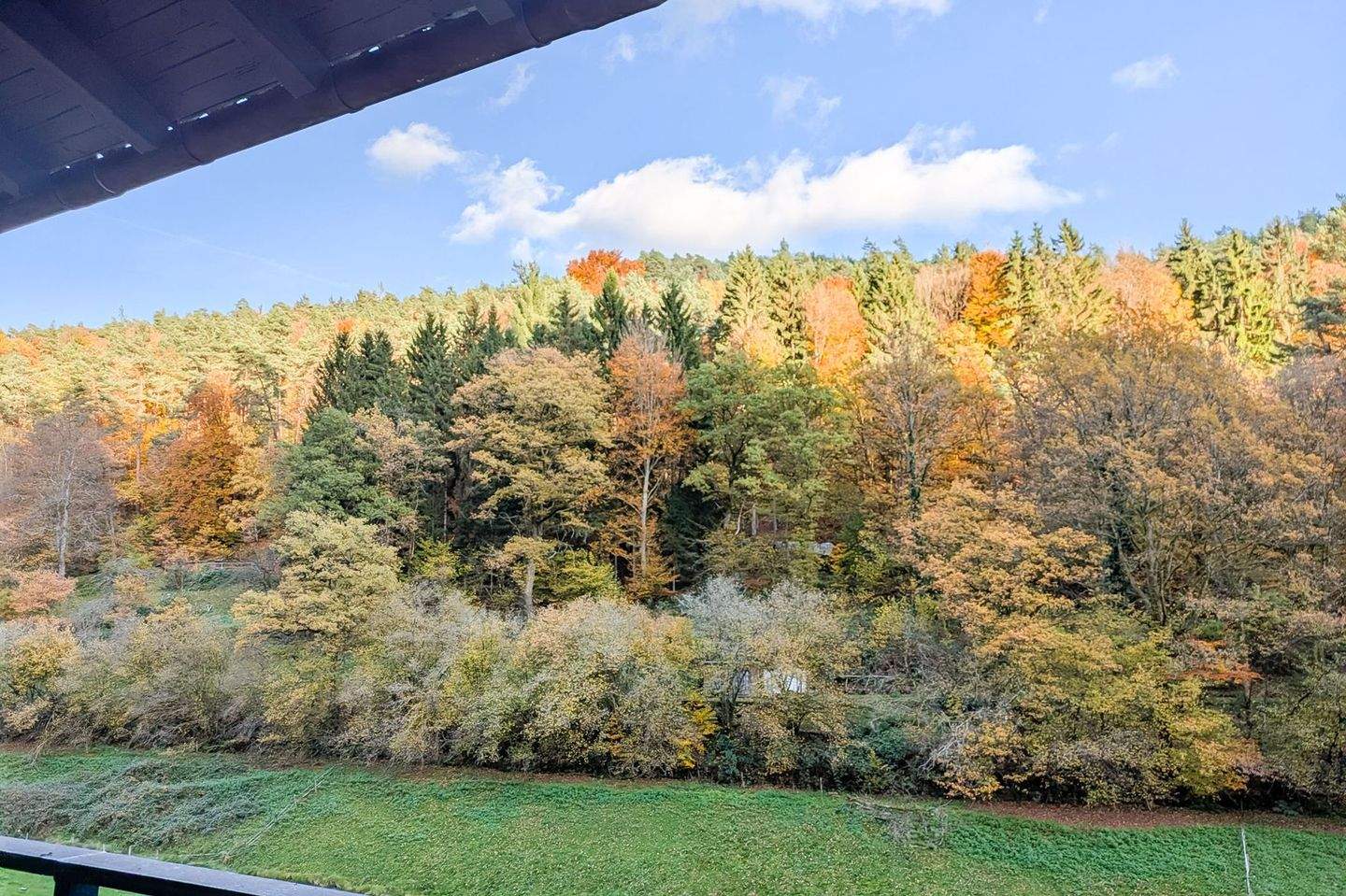 Immobilie in Oberzent - Interessante Immobilie mit großem Grundstück im ruhigen, von Natur umgebenen Sensbachtal! - Bild 3