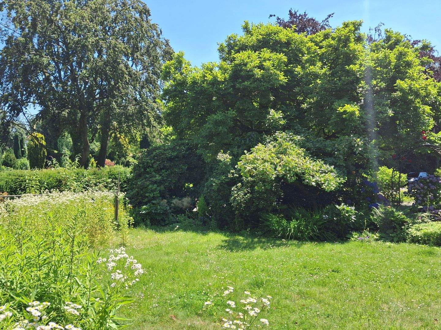 Immobilie in Kirchlengern - VERKAUFT - Bild 6