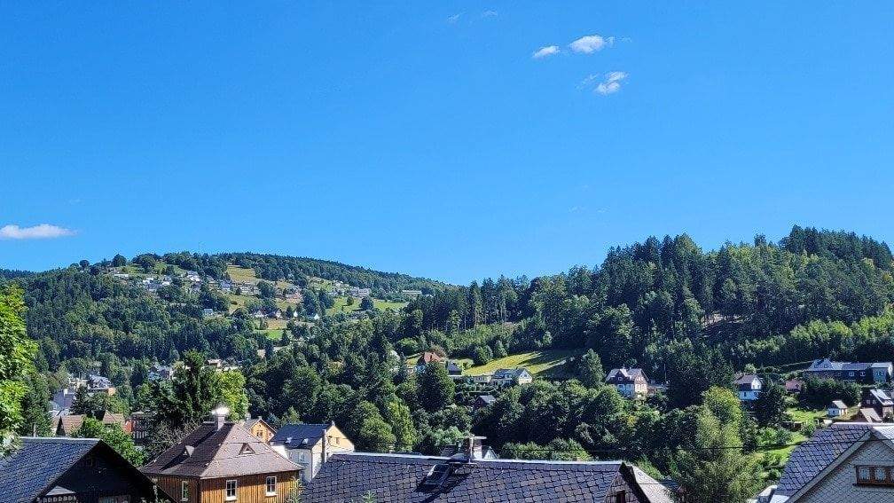 Immobilie in Klingenthal - Modernes Familienhaus mit großem Garten - Bild 32