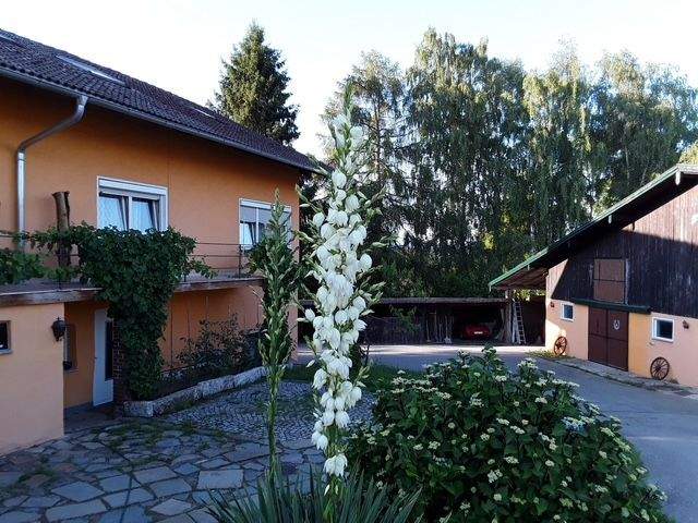 Immobilie in Witzmannsberg - Gepflegtes Reiteranwesen m. Pension/Wohnhaus u. 18.700 qm, idyllischer ruhiger Lage im oberen Ilztal - Bild 7