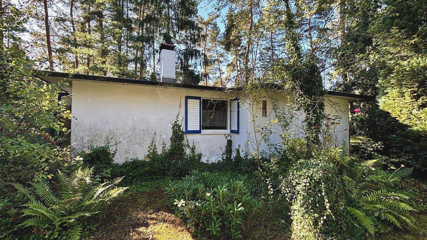 Immobilie in Zschepplin - Gestalten Sie Ihr Refugium im Grünen! - Bild 10