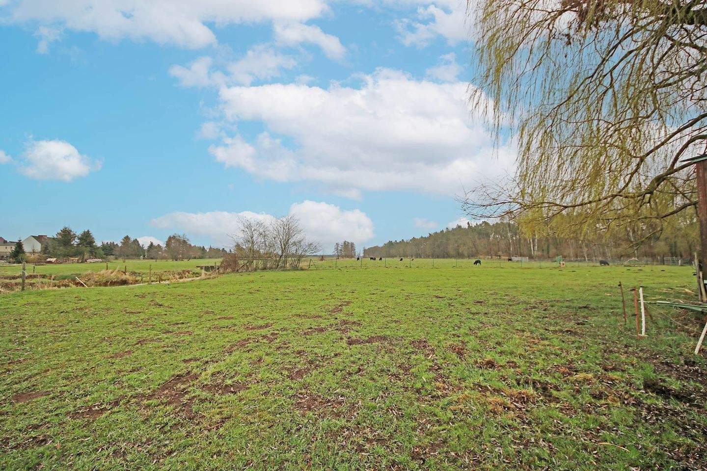 Immobilie in Jessen (Elster) - Mehrfamilienhaus mit 3 Wohnungen und großem Werkstattgebäude in Jessen (Elster) OT Holzdorf - Bild 19